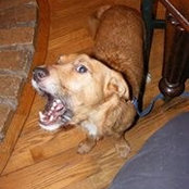 Mark Millward's photo