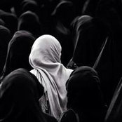 Amine Camelia's photo