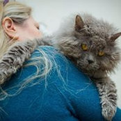 Cora McCarthy's photo