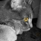 Glen Bauernfeind's photo
