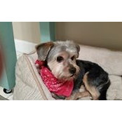 Sue Clair's photo