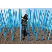 Jenna Bilotta's photo