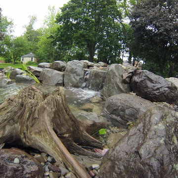 Out with the Old Pond in With The New