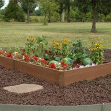 Landscape Ideas