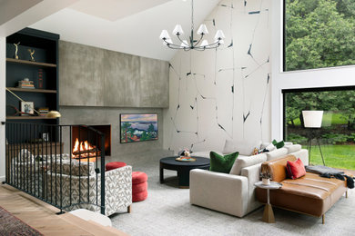 Inspiration for a transitional living room remodel in Minneapolis