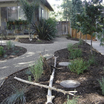 Melody House Xeriscape
