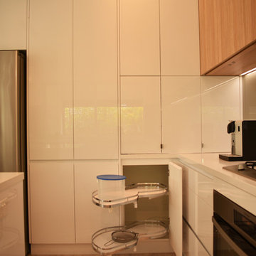 Contemporary Style Kitchen Renovation
