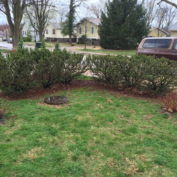 Maryland Heights: new frontyard yard/side yard professional landscaping