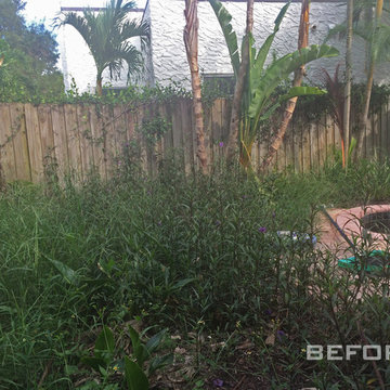 Before the transformation