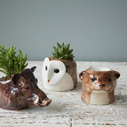 Hand Painted British Animal Egg Cups by Quail - Egg Cups