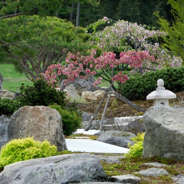 Garden Blooming Bliss