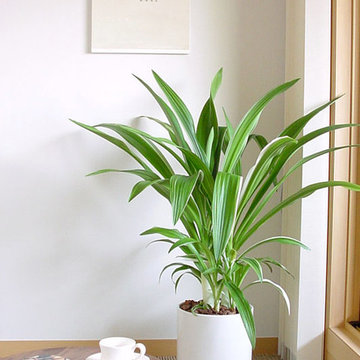 Plants.L