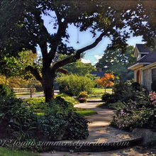front garden