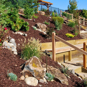 Terraced Backyard