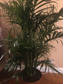 Difference between...? | Houzz Forum