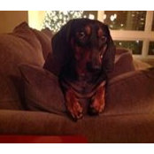 Jeff Warrick's photo