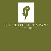 The Feather Company's photo