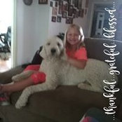 Sandy Hill's photo