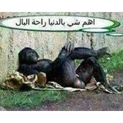 Foto von Hamzeh Saadeh