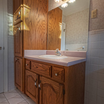 Before - Vanity View