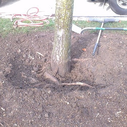 Air excavation - Gardening And Lawn Care