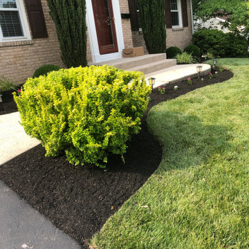 Landscape Enhancement