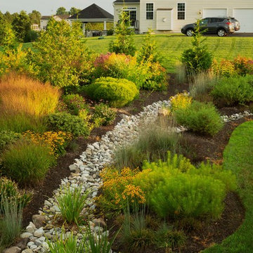 Conservation Meadowscape