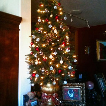 Potted Colorado Mountain Spruce