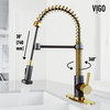VIGO Edison Pull Down Kitchen Faucet, Matte Gold/Matte Black, With Deck Plate