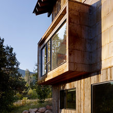 Mininger Residence - exterior/fireplace metal panel siding ideas