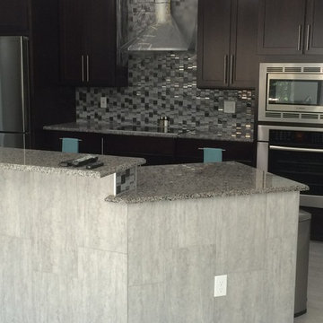 Orlando Contemporary Kitchen