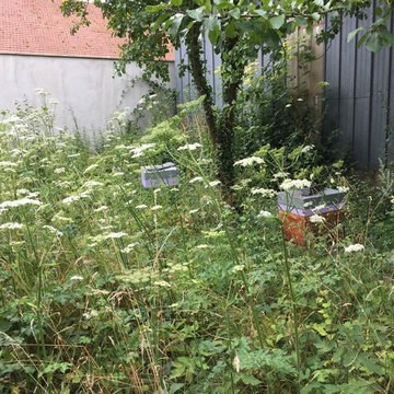 Jardin expérimental (en cours)