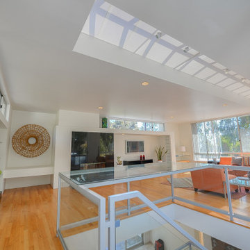 Laguna Beach Modern