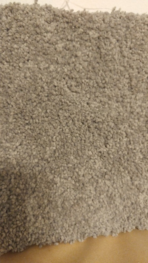 Paint Color for charcoal carpet