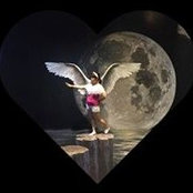 Kow Hever's photo