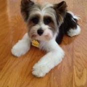 Carol Riordan's photo