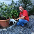 Flying Horse Landscape Design's profile photo