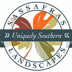 Sassafras Landscapes