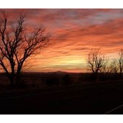 David Jordan's photo