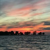 Annie Saunders's photo