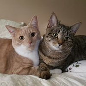 Rosmyn Squitieri's photo