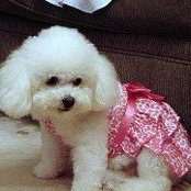 Silvie Goldstein's photo