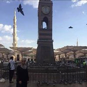 Sahar Shaheen's photo