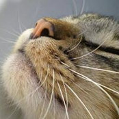 Denise Spence's photo