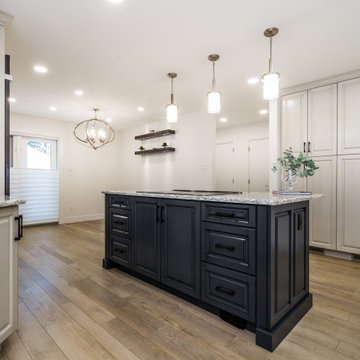 Cloverdale - Whole Home Renovation