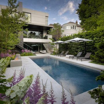 Forest Hill Modern Backyard