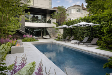 Large minimalist backyard stone and rectangular pool landscaping photo in Toronto