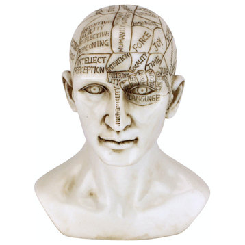 Phrenology Science Of The Brain Statue