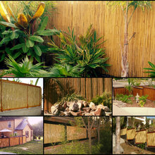 Sustainable Material