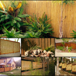 https://www.houzz.com/hznb/photos/bamboo-fencing-tropical-san-diego-phvw-vp~19536183
